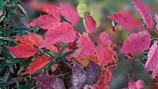 20181115_093530.jpg